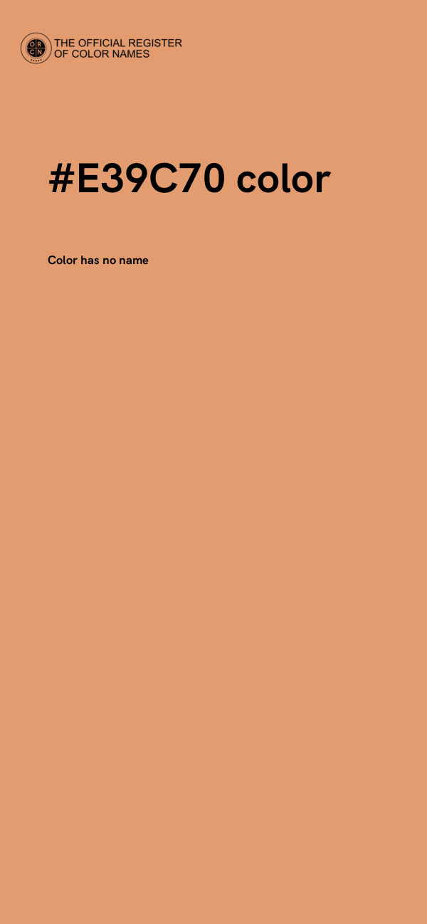 #E39C70 color image
