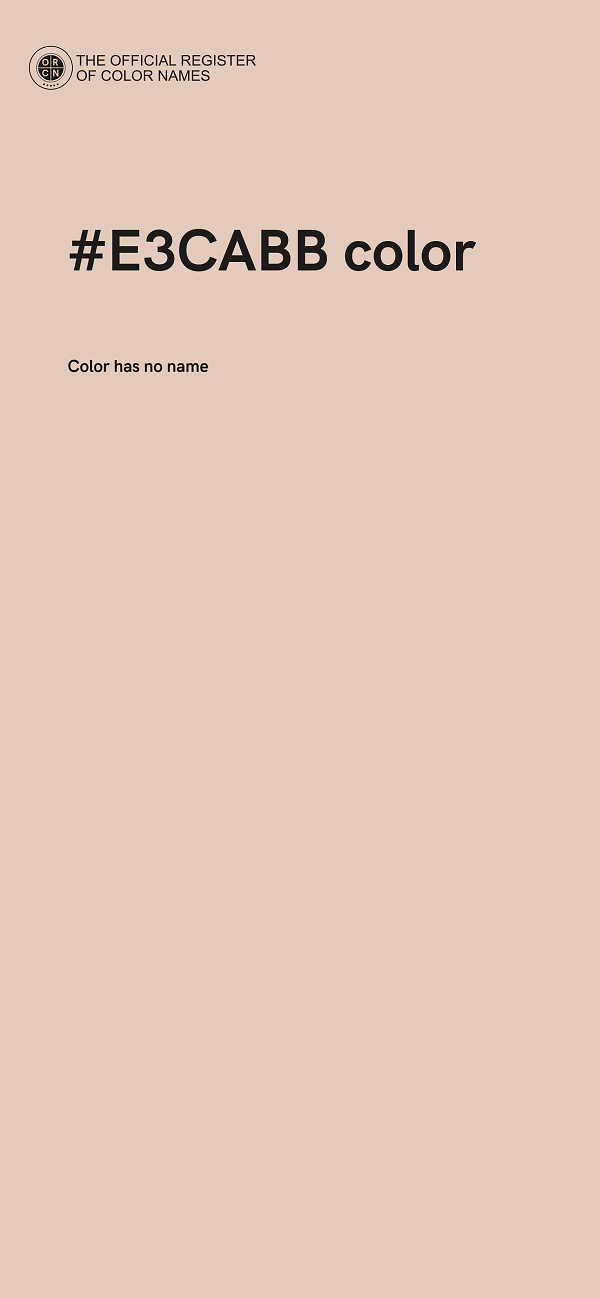 #E3CABB color image