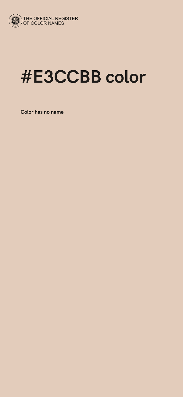 #E3CCBB color image
