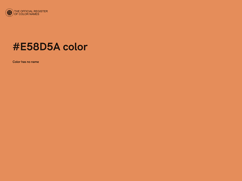 #E58D5A color image