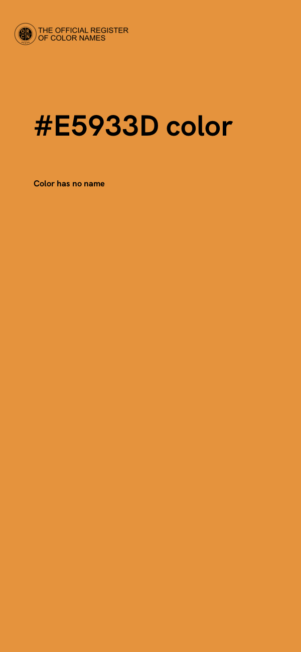 #E5933D color image