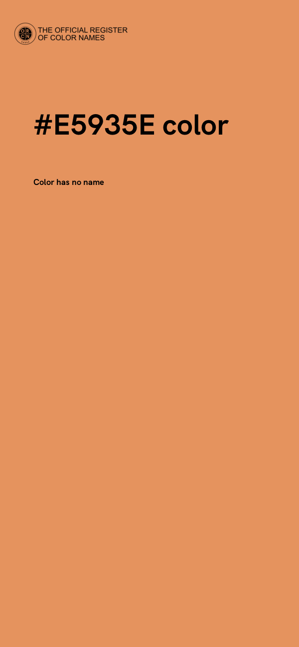 #E5935E color image
