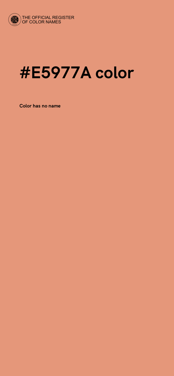#E5977A color image