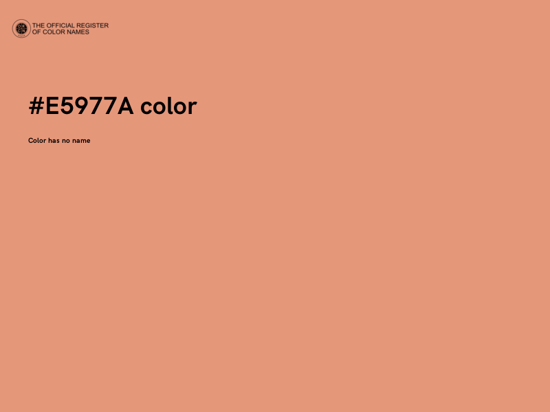 #E5977A color image