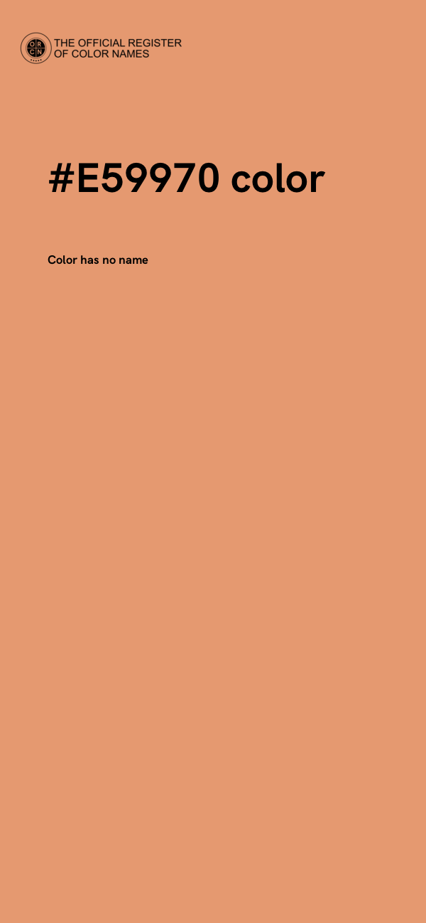 #E59970 color image