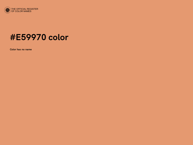 #E59970 color image