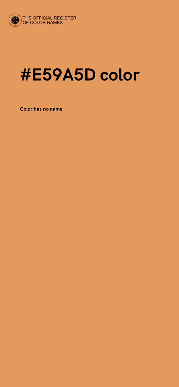 #E59A5D color image