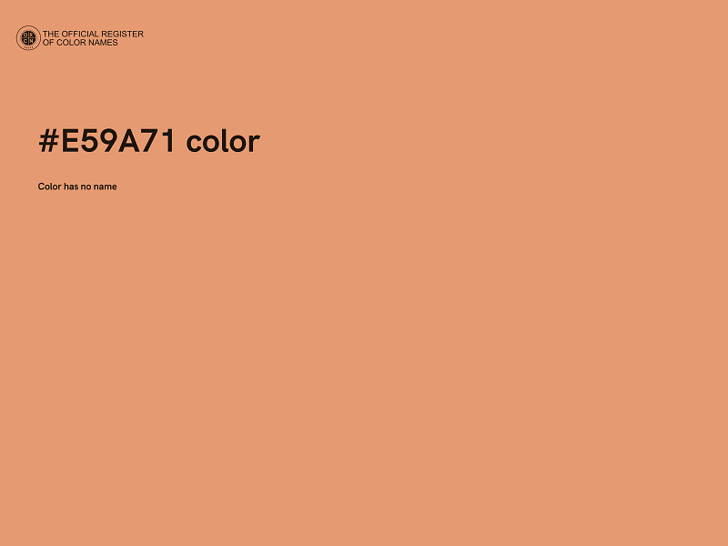 #E59A71 color image
