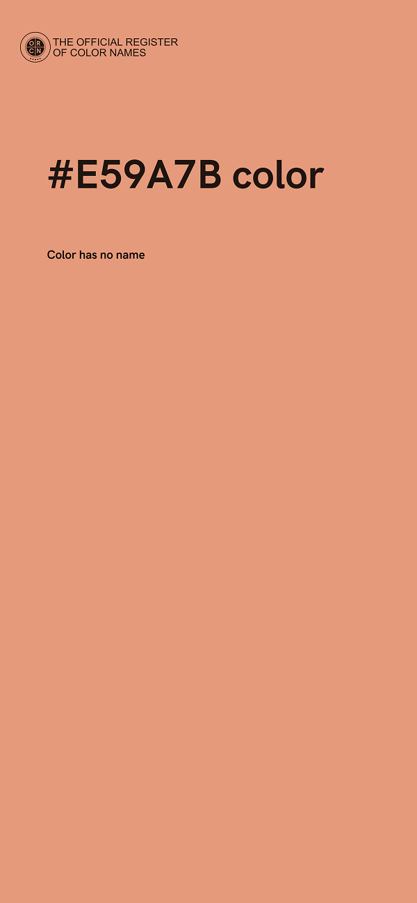 #E59A7B color image