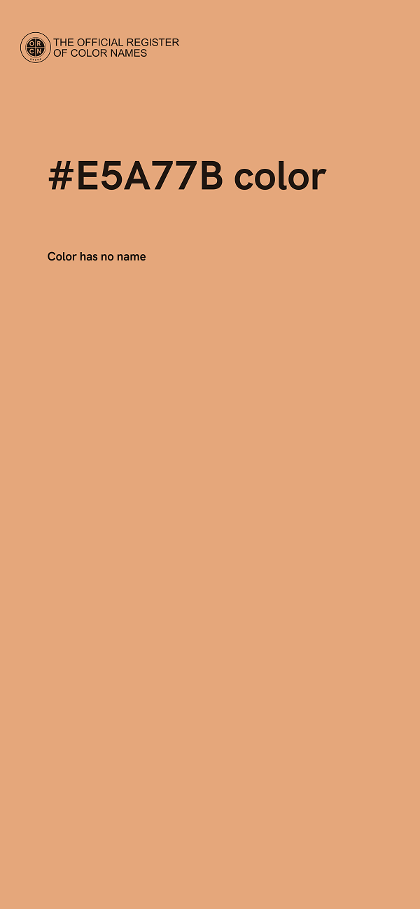 #E5A77B color image