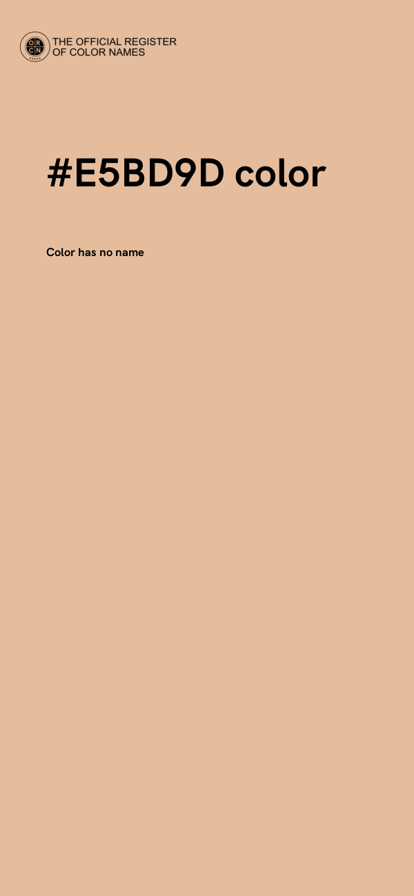 #E5BD9D color image