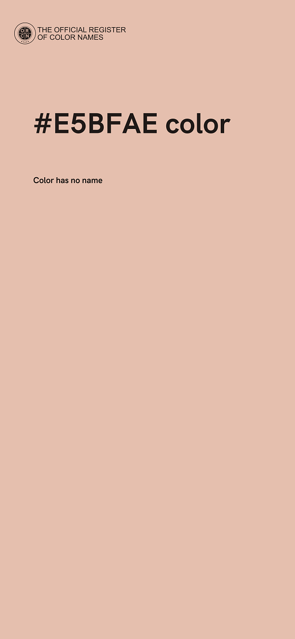 #E5BFAE color image