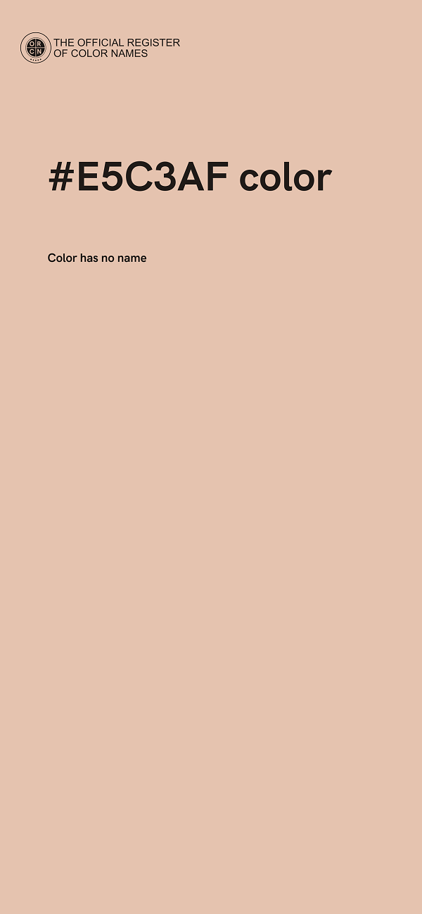 #E5C3AF color image