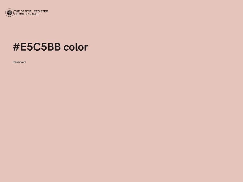 #E5C5BB color image