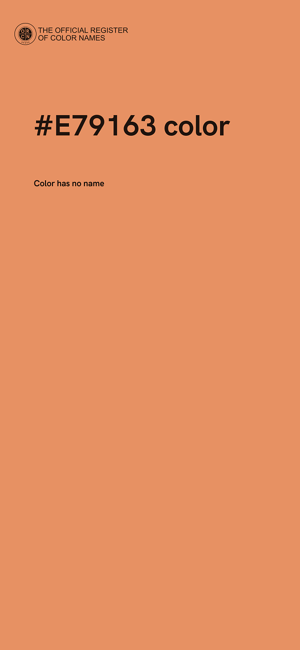 #E79163 color image