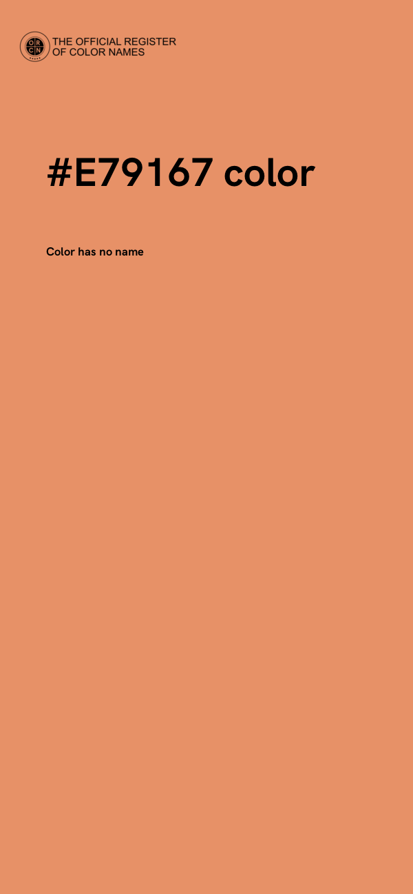 #E79167 color image