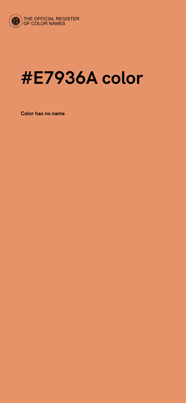 #E7936A color image