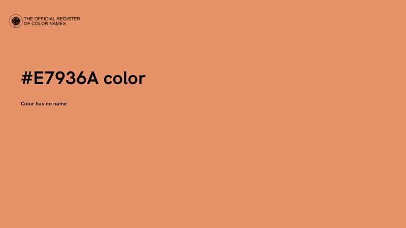 #E7936A color image