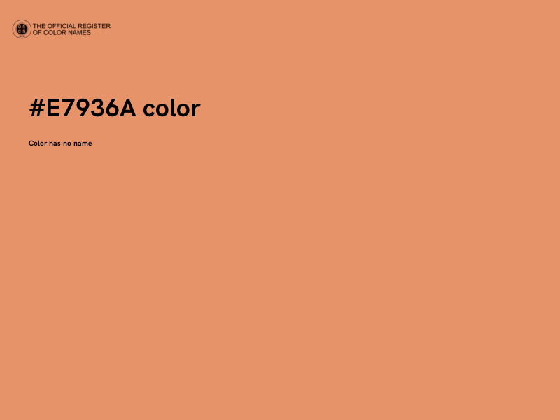 #E7936A color image