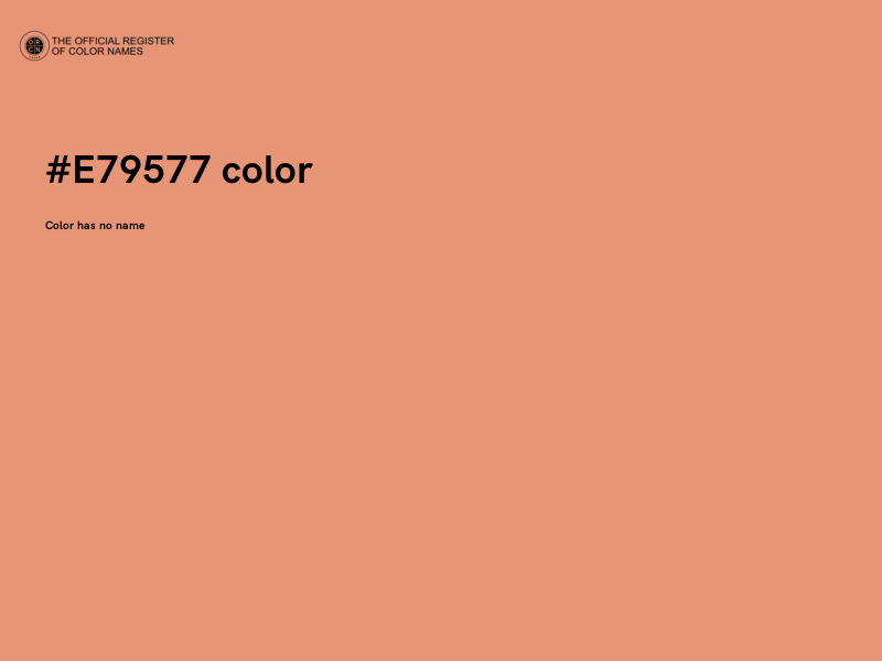 #E79577 color image
