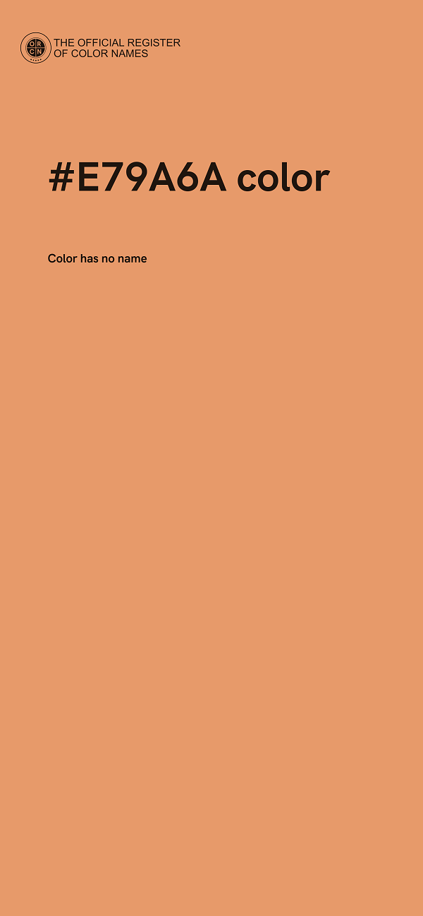 #E79A6A color image