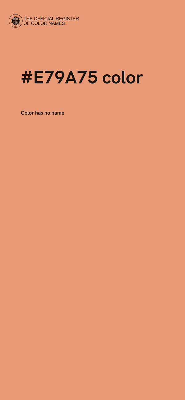 #E79A75 color image