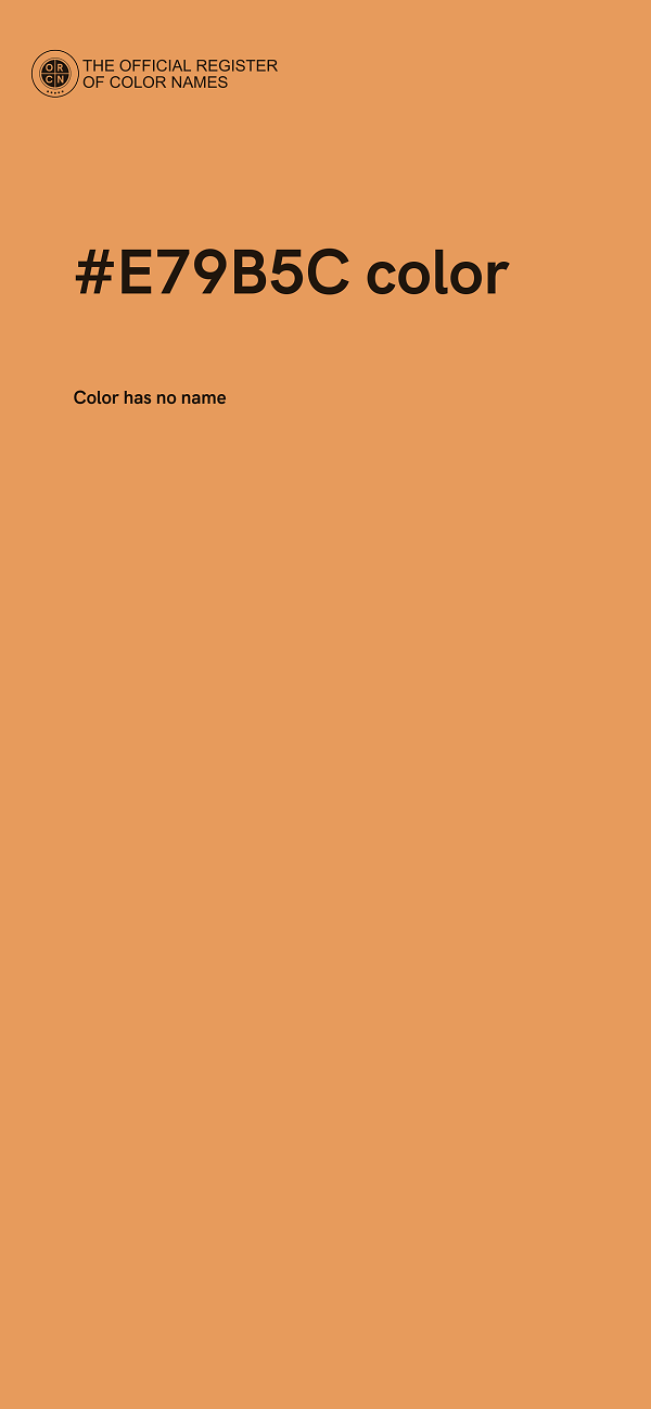 #E79B5C color image