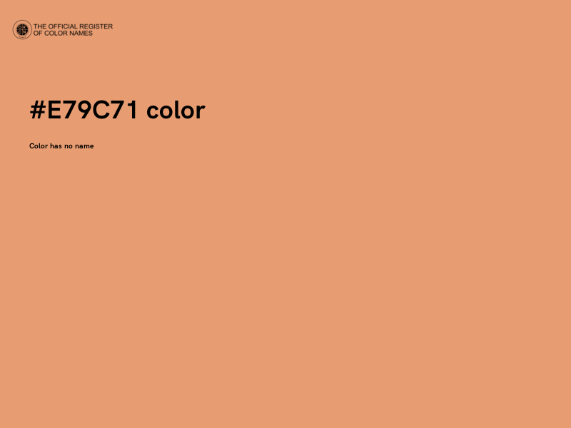 #E79C71 color image