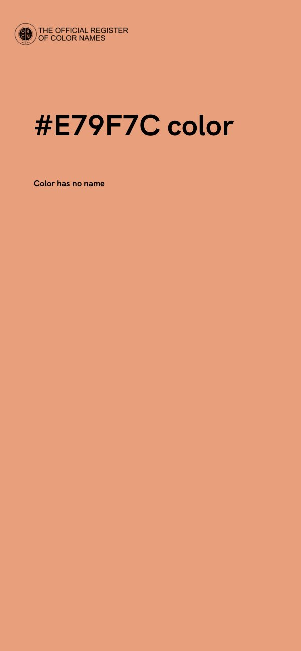 #E79F7C color image