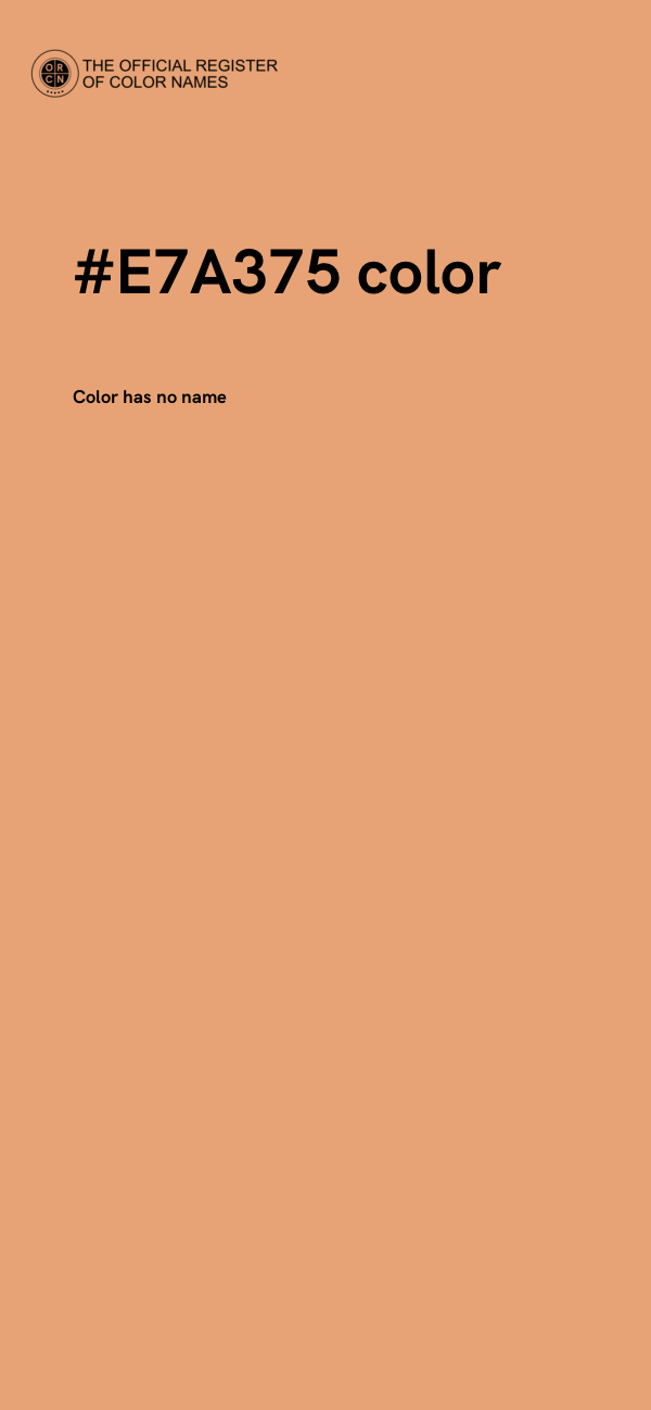 #E7A375 color image