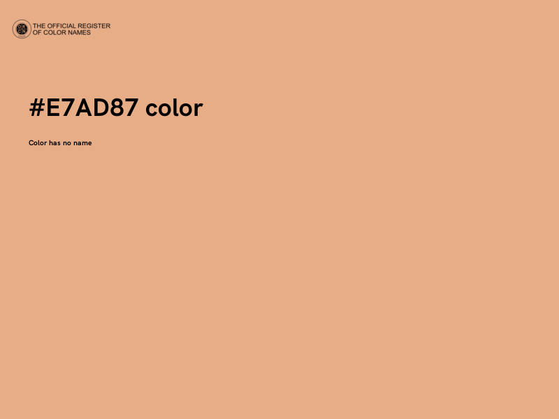 #E7AD87 color image
