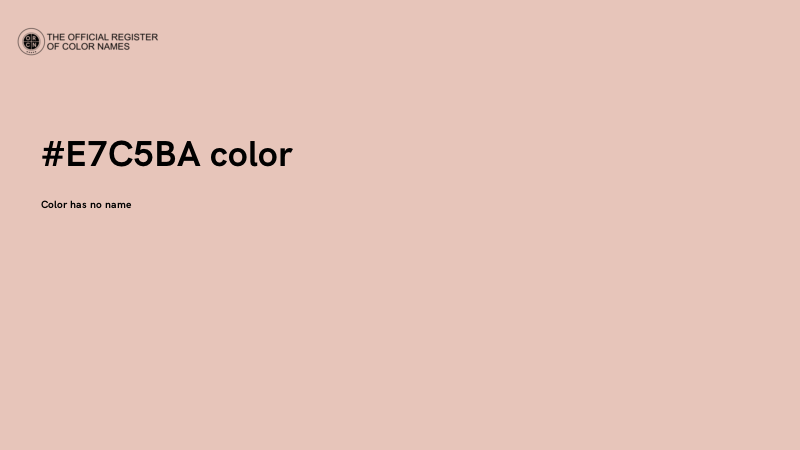 #E7C5BA color image