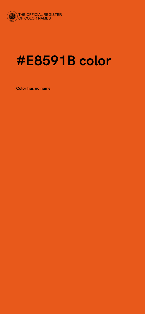 #E8591B color image
