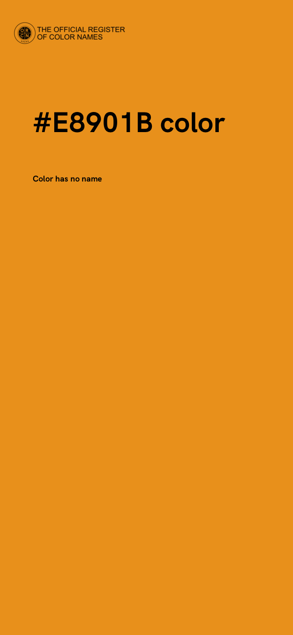 #E8901B color image
