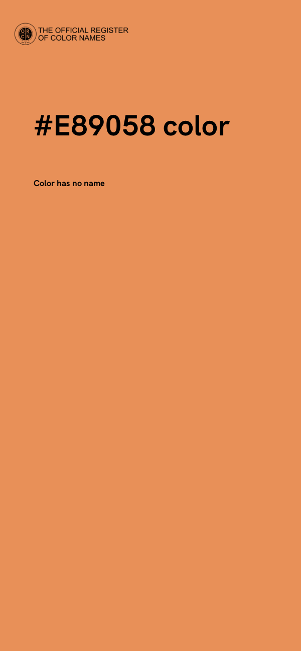 #E89058 color image