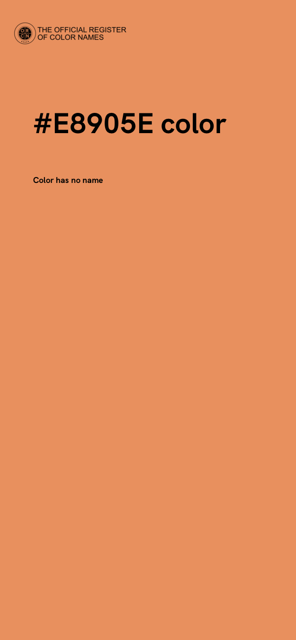 #E8905E color image