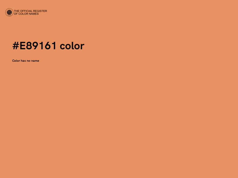 #E89161 color image