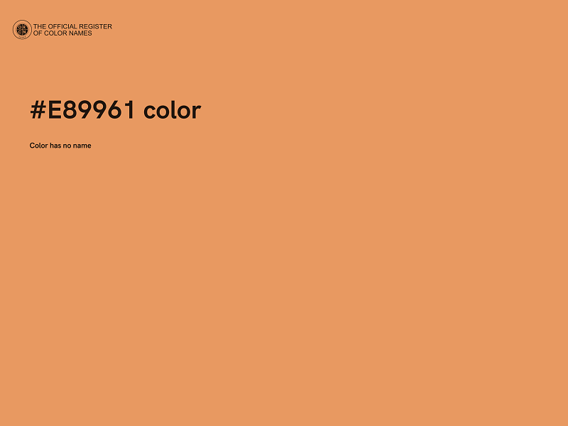 #E89961 color image