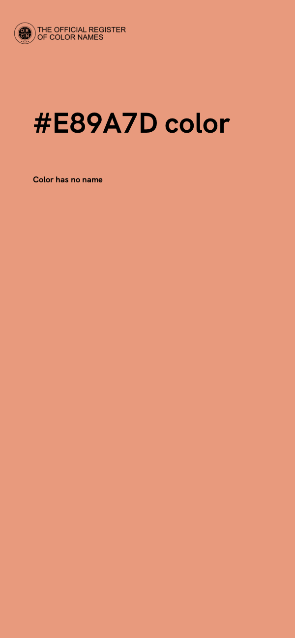 #E89A7D color image