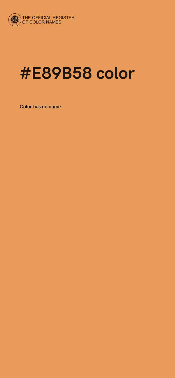 #E89B58 color image