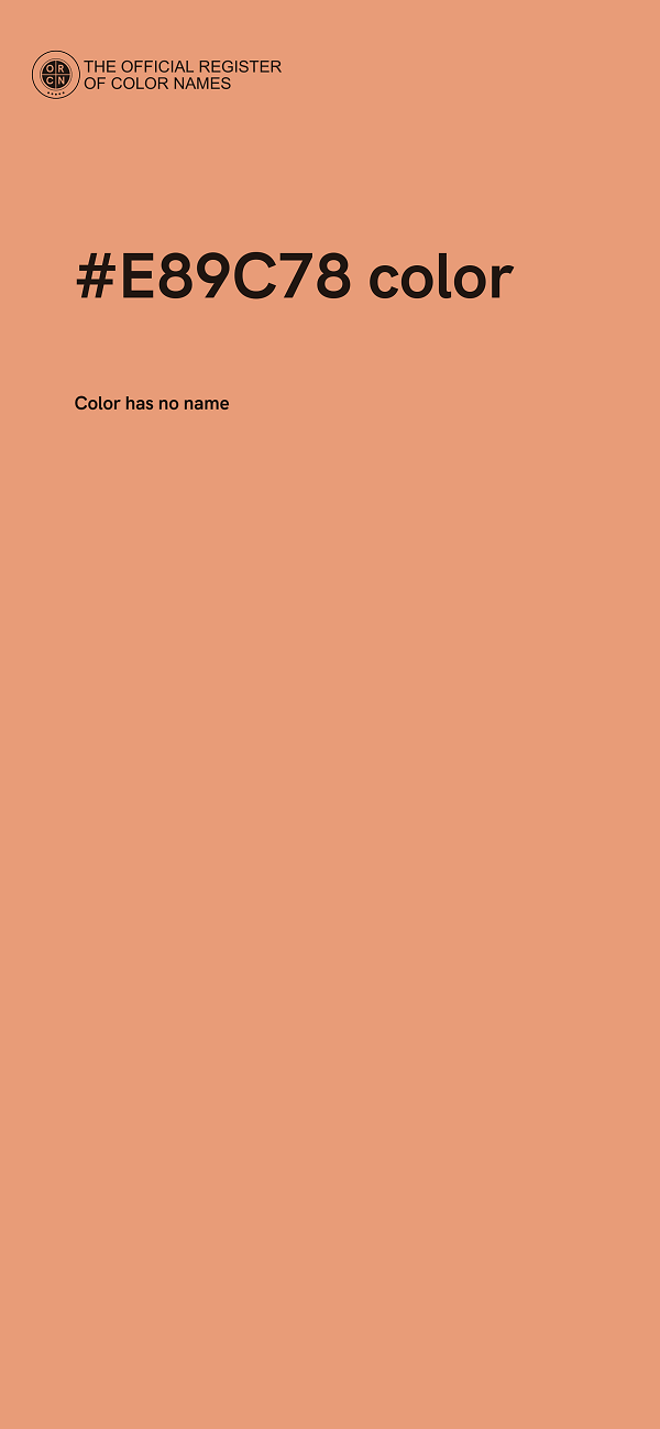 #E89C78 color image