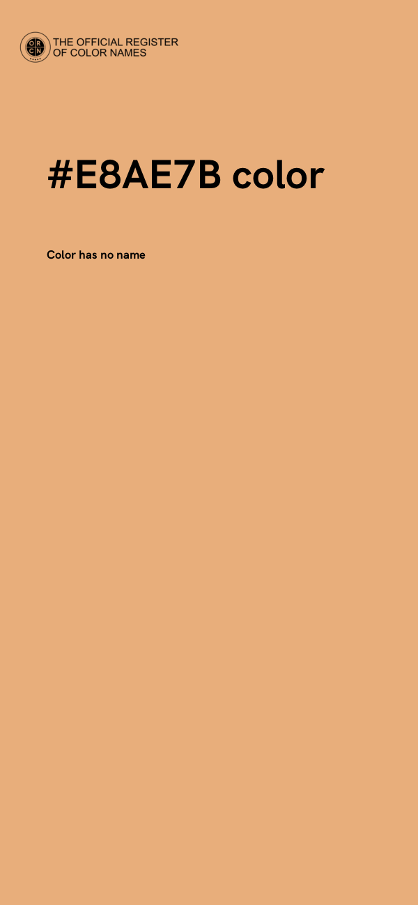 #E8AE7B color image