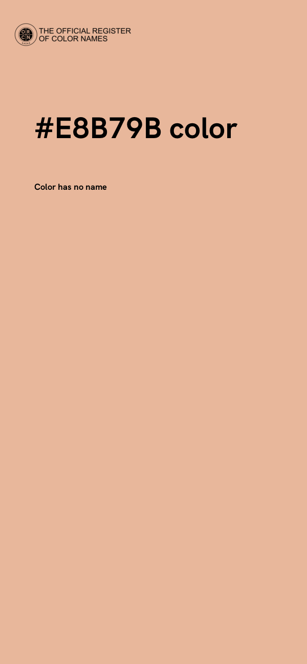 #E8B79B color image