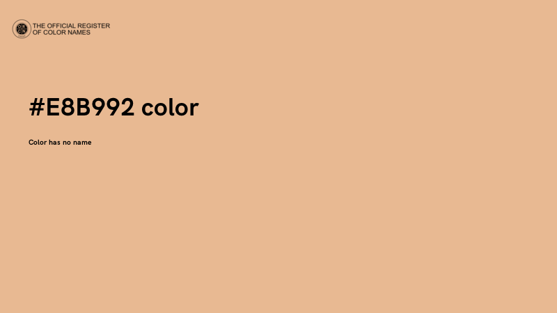 #E8B992 color image