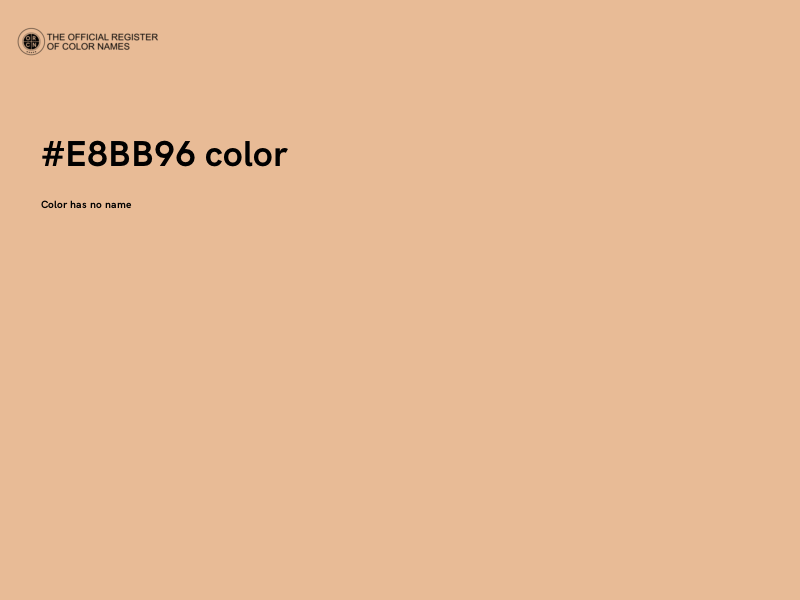 #E8BB96 color image