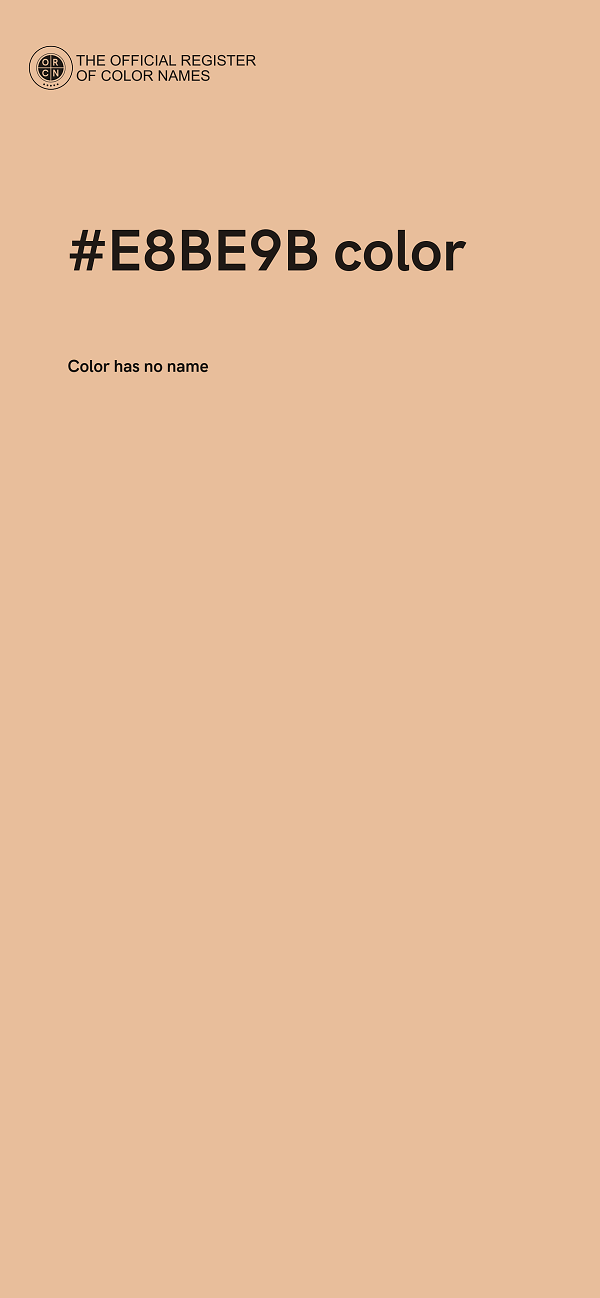#E8BE9B color image