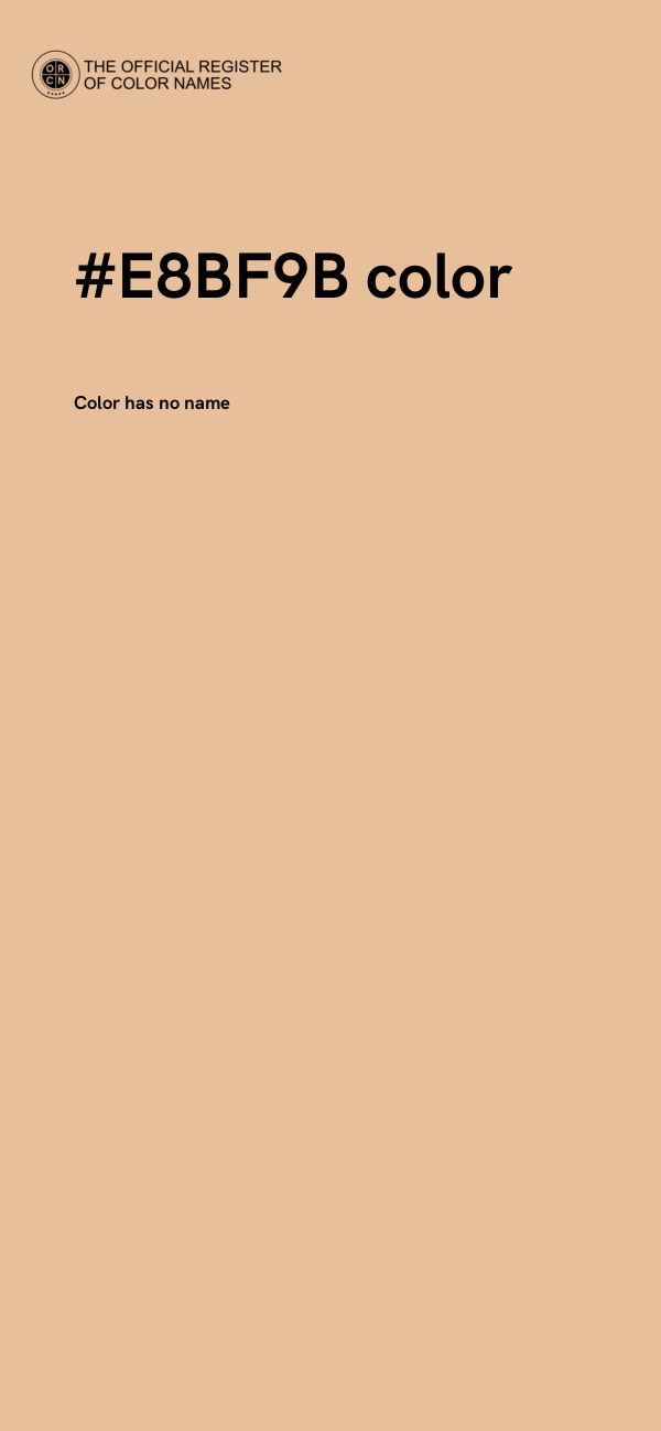 #E8BF9B color image