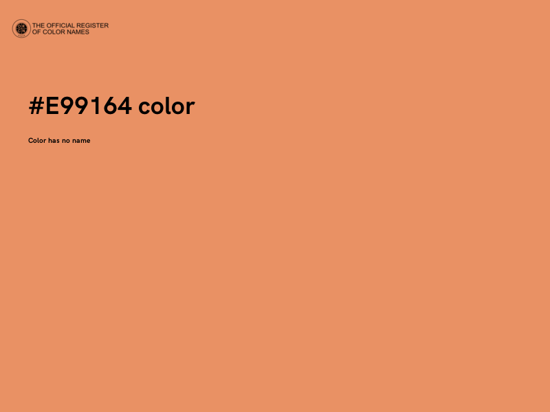 #E99164 color image