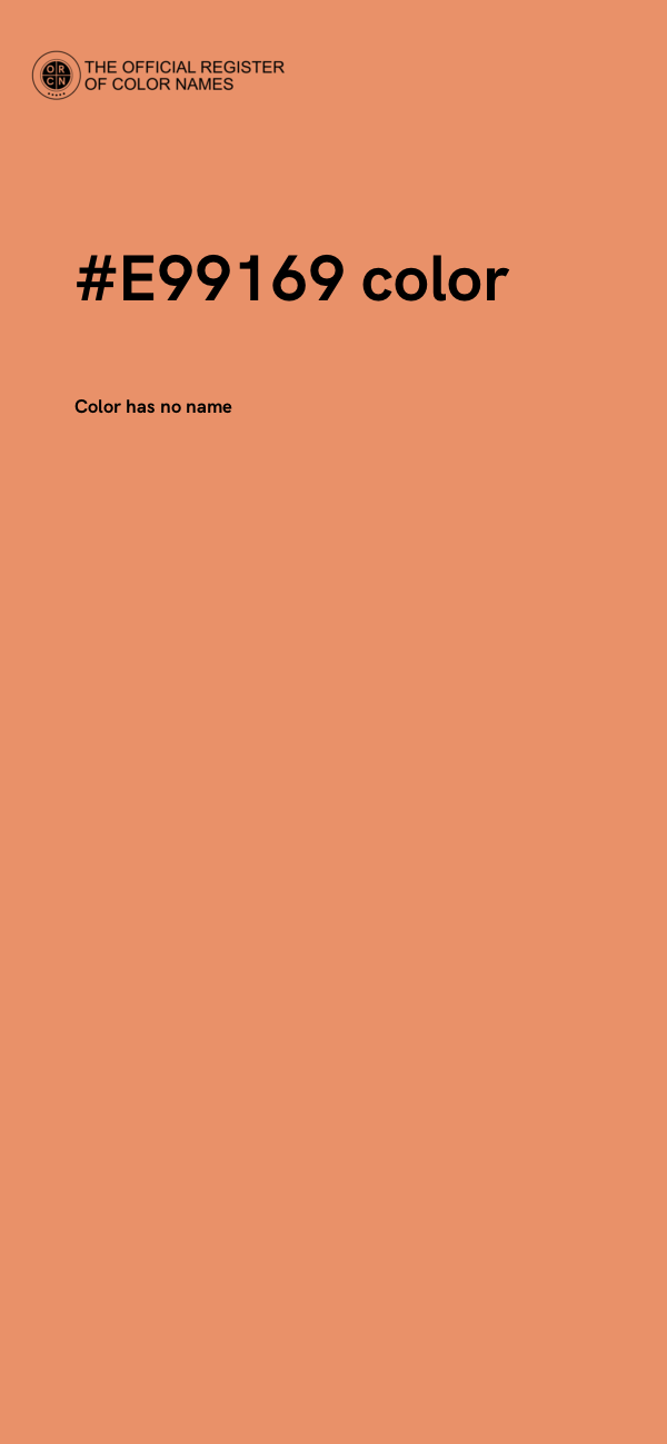 #E99169 color image