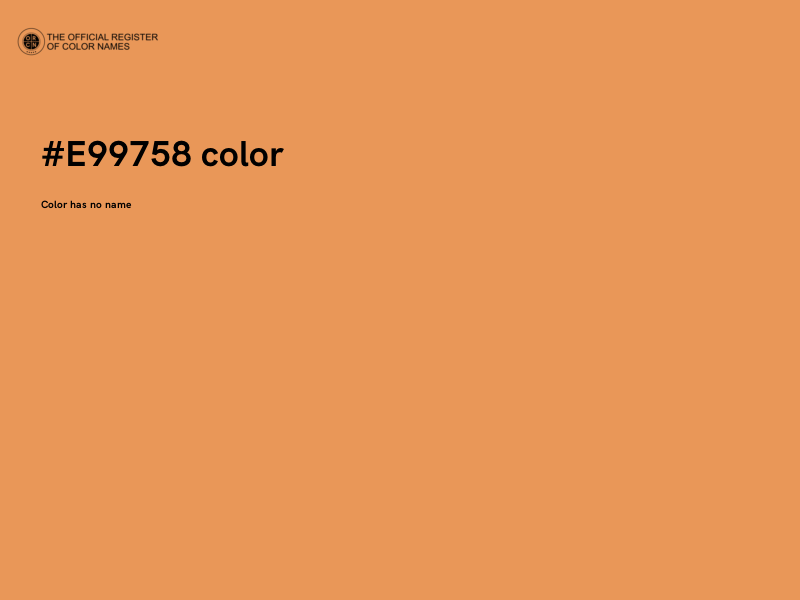 #E99758 color image